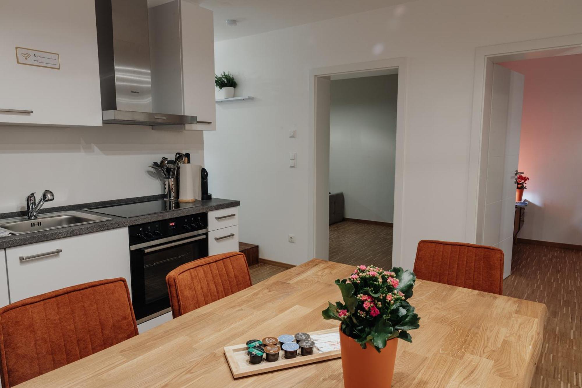 Passaus Motto Appartements! Solo - Paerchen - Familien - Gruppen Room photo